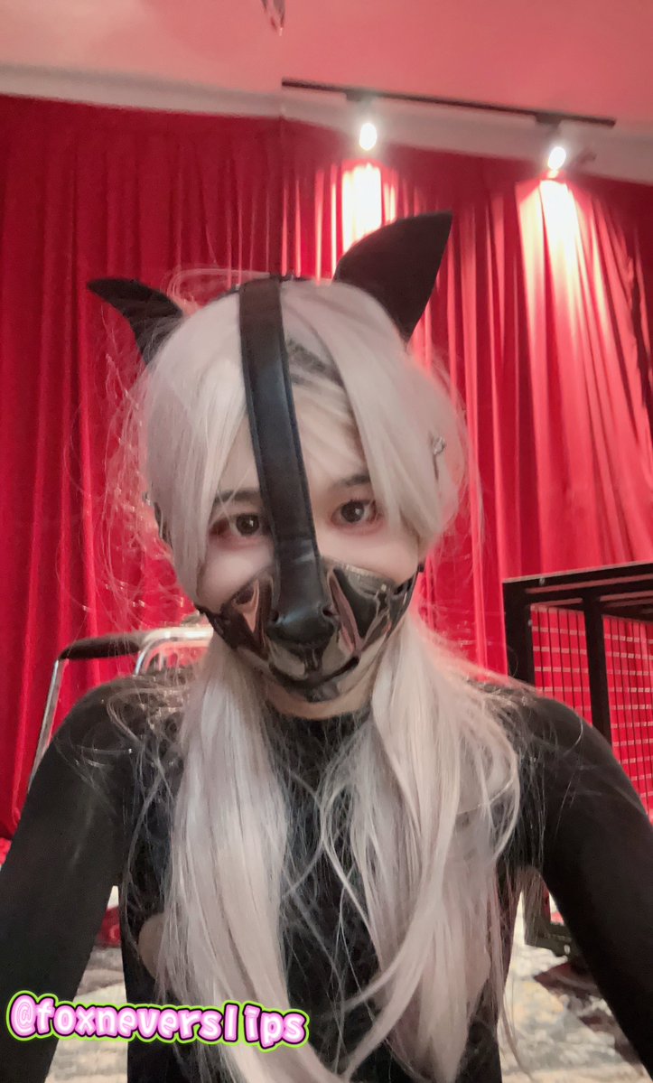 foxneverslips's tweet photo. 戴上这个狗狗面具的那一刻，我就彻底变成了只母狗。  
嘴巴被紧紧箍住，只能发出低低的呜咽，眼睛湿漉漉地盯着你。  
白发凌乱地贴在脸上，猫耳竖着，全身都在发���。  
黑衣服勒得我喘不过气，却还是忍不住轻轻晃腰，像只发情的小畜生。
有谁能当我的主人吗。 https://t.co/z3rSmKeMEh