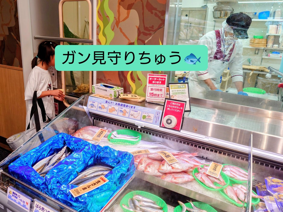 hitsujimeei's tweet photo. 昼間スーパーの魚売り場は、息子の大好きスポットのひとつ。
いつも夕方~夜やから、魚カラッポでね😂
好きな魚を選んで捌いてもらって（それをガン見して）、焼いて食べる。
一匹だけそのまま購入するので、それは私が捌くのをまた近くであーだこーだ言いながら🐟️
明日は秋刀魚を焼くぞーぅ！ https://t.co/Yn2XV6z0yw