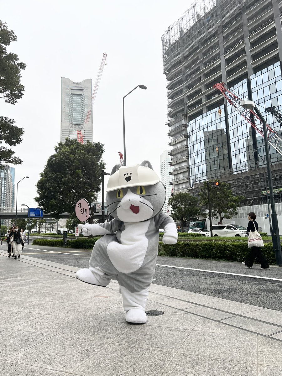 kumamine_kobo's tweet photo. ビルの建設現場を背景に
ヨシ！👈😺✨

＃仕事猫 ＃みなとみらい ＃東京湾大感謝祭 https://t.co/zUQoaAbw4V