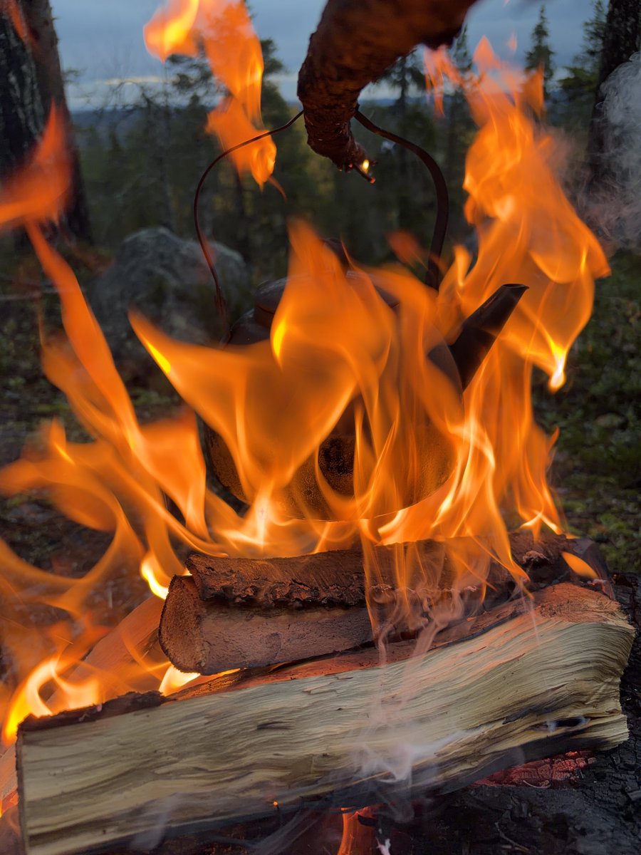 NiskaPetri's tweet photo. Aamun nokipannu #Rovaniemi #VisitRovaniemi #Nokipannu #MetsÀstys #Luonto https://t.co/iabgQTIThw