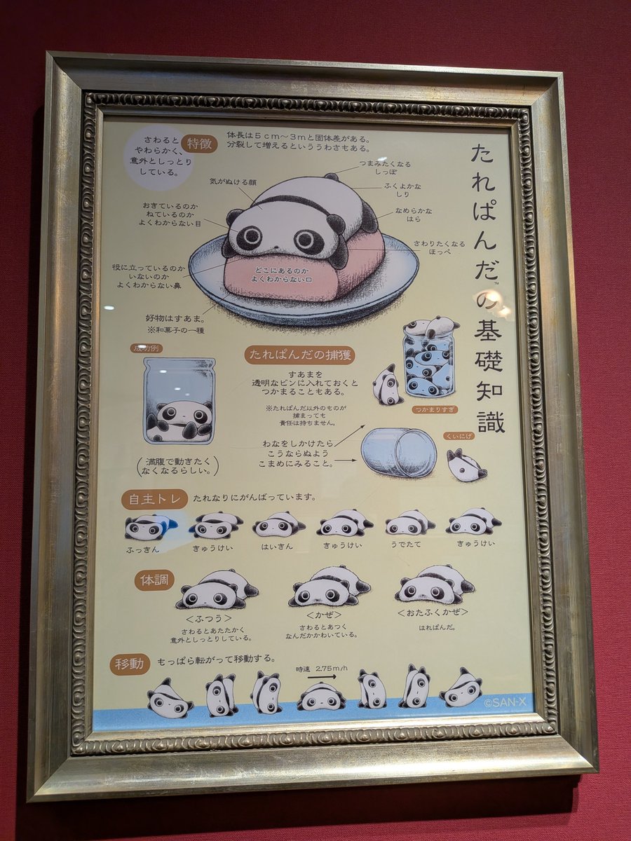 DreamMan_0308's tweet photo. たれぱんだこそ至高(*｀ﾉω´*) https://t.co/7ihq3MEe4K