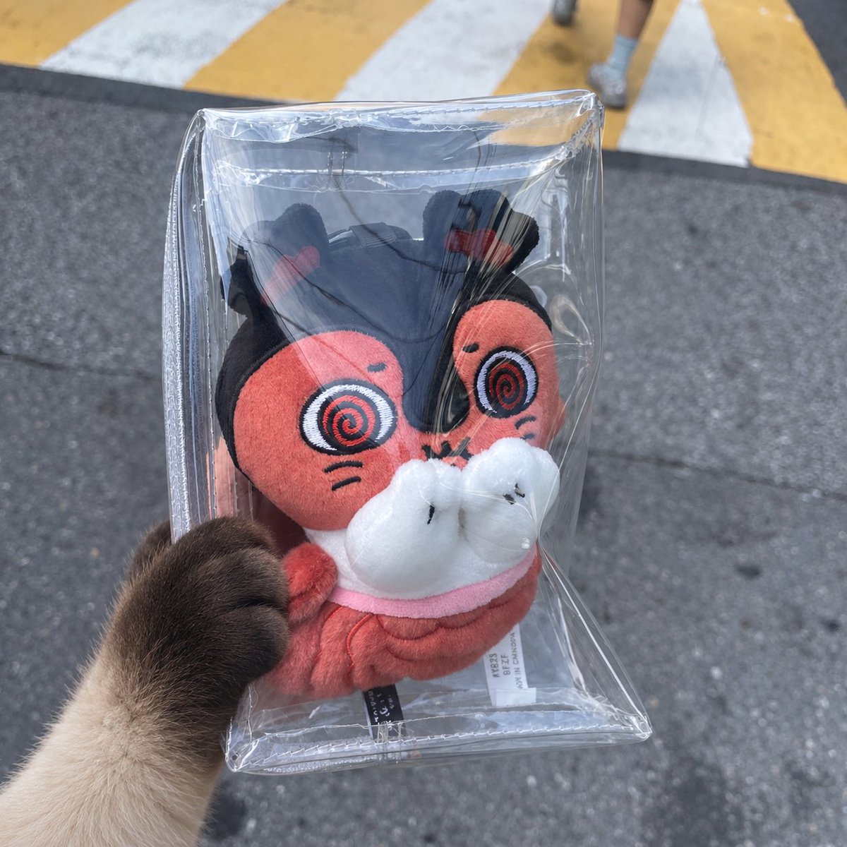 An_0_K's tweet photo. 여러분 홍대 무인양품에 투명파우치가 세이렌에게 딱 맞는다는 사실!!!!
바로 사버렸어요 ㅎㅎ https://t.co/87IaZr3y1g
