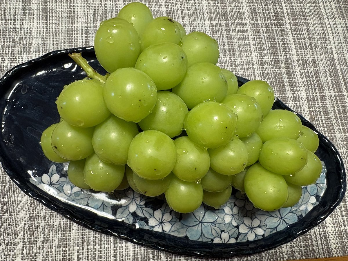 lune_78's tweet photo. ぶどうの季節ですね
下鳥渡松塚にある佐藤農園さんの🍇
めちゃくちゃ美味しすぎて今週3回も行ってしまった………。 https://t.co/dIcam9M7WJ