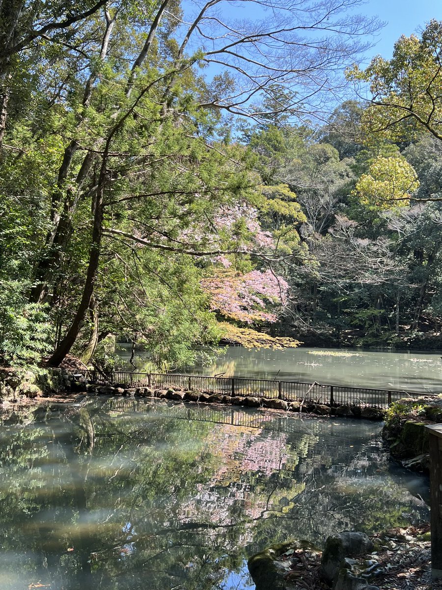 gokigen_ojou's tweet photo. @apathy_shaper 伊勢神宮おすすめです。
春に一人旅で行きましたが、時間がゆっくりと流れていて気持ちが整理されました✨ https://t.co/Fp6Z4cA3wn