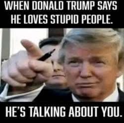 MsAnthony15's tweet photo. @MAGAMichelleS69 https://t.co/SiL3cn3KoP