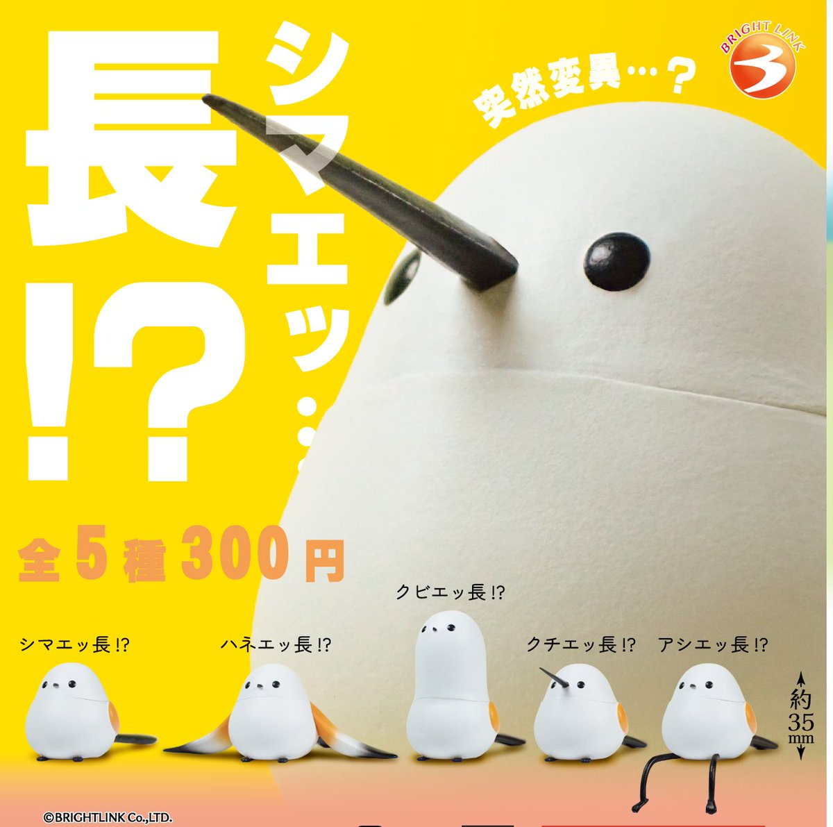 brightlinkdayo's tweet photo. ＼最新情報／
1月発売予定商品！

【シマエッ…長】（再販）

尻尾だけじゃない！？
いろんなところが長〜いシマエナガ🐦✨

可愛さはそのままシュールすぎる姿👀💕
デスクに置いたら気になって集中できない…😂

#カプセルトイ #ガチャガチャ
#シマエナガ #フィギュア
#ブライトリンク https://t.co/GbRczUeSIN