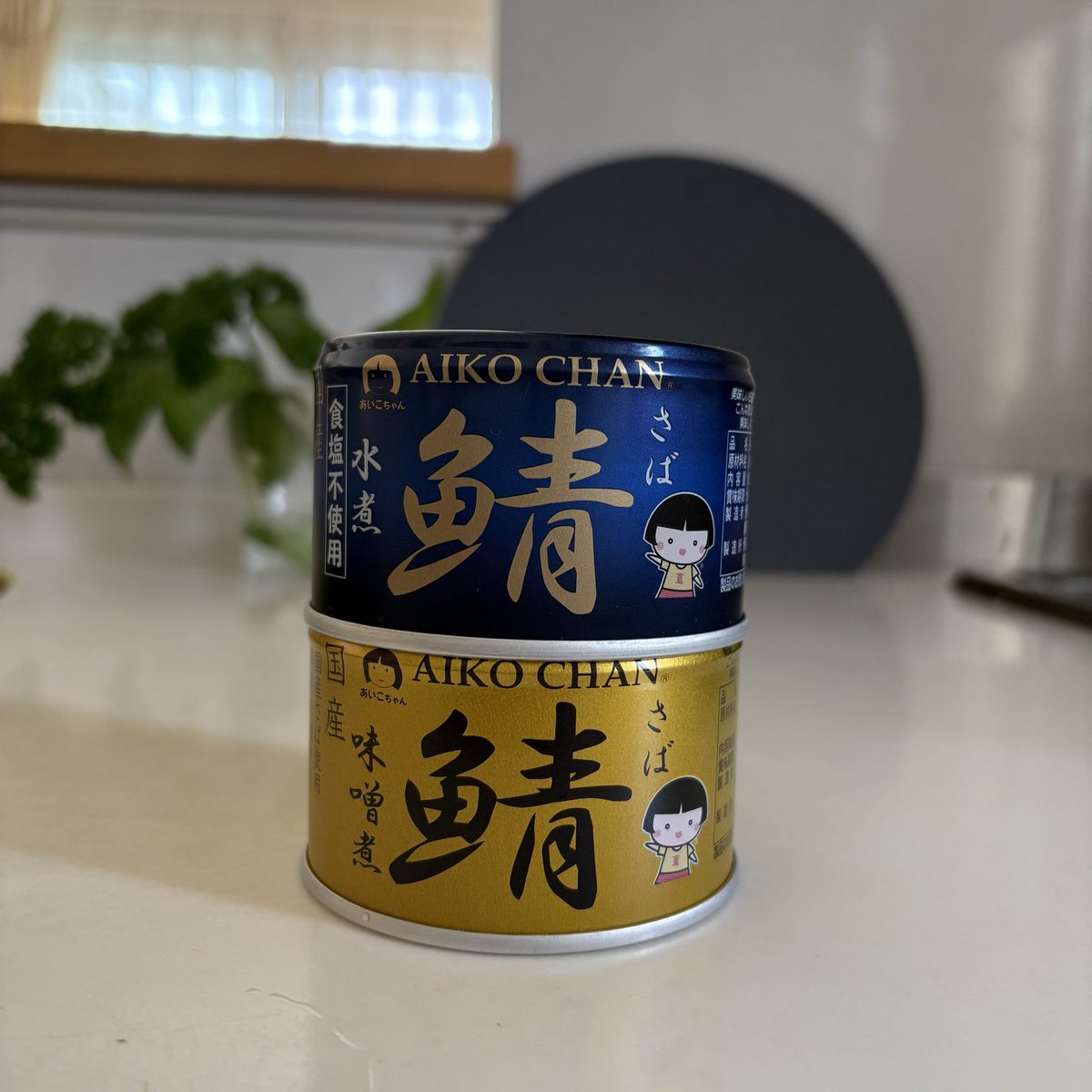 mamesuke5ma1's tweet photo. お昼ご飯
何もなかった😱ので
あいこちゃんのさば味噌
大根おろし添え
美味しかった😋

  #お昼ご飯  #さば味噌  #サバ缶 https://t.co/Yinwabnr7z
