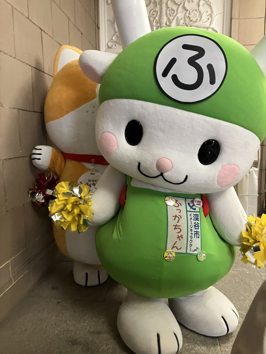 taremimidaichan's tweet photo. わわわっ！！ふっかちゃ〜ん🐶💦

#たれみみだいちゃん 
#ご当地キャラカーニバル https://t.co/BuwpNCTJwe