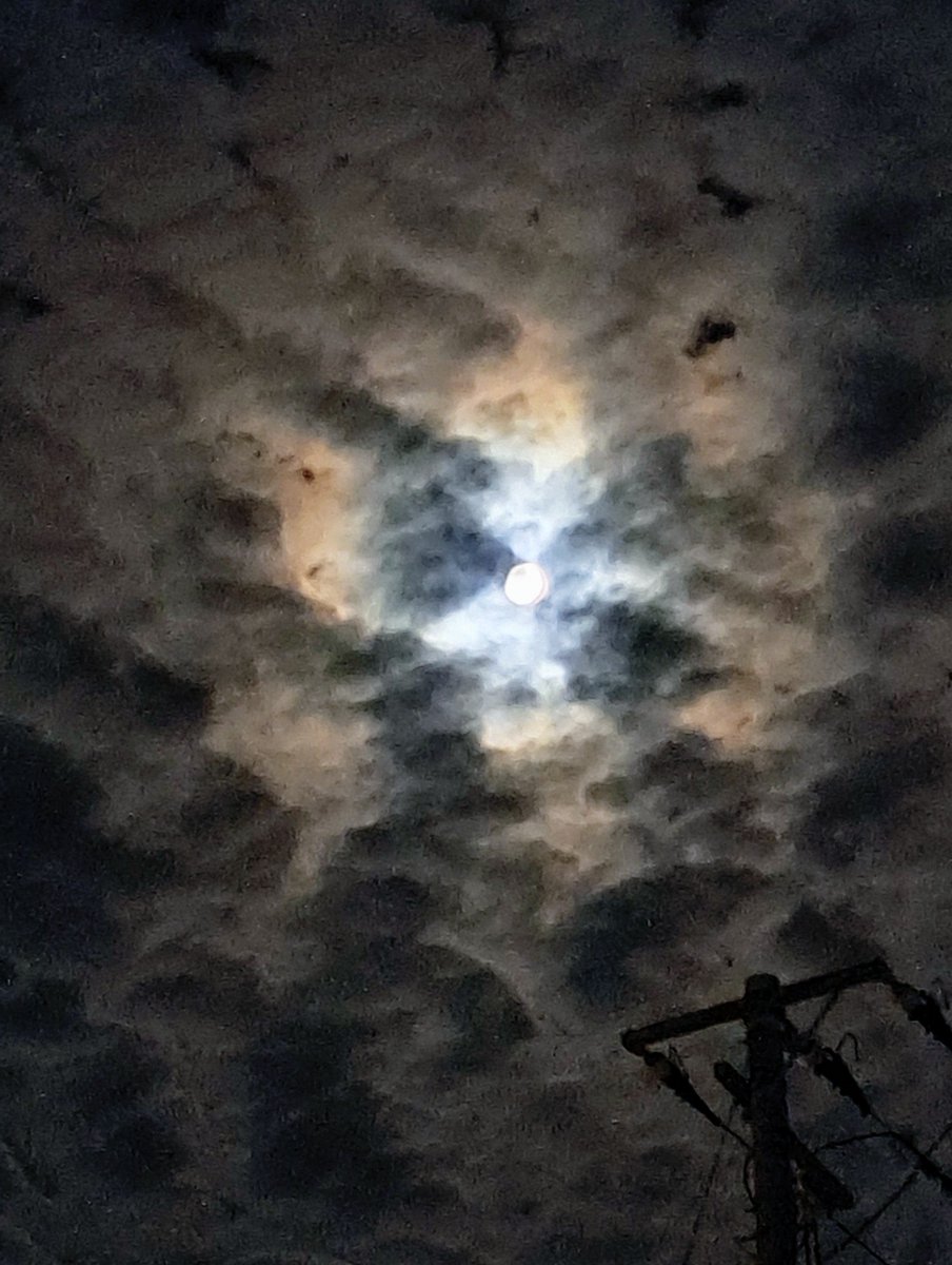 sae4908's tweet photo. 昨夜(9/25)は、一年でもっとも月が綺麗に見れるという十五夜🎑でした✨夕方雲多めで心配しましたが、辛うじてお月様見上げる事が出来ました！明日(27日)は満月🌕ですね…天気は下り坂ですが💧
#CHAEst🌻
#中秋の名月 https://t.co/CVjIPw7Qar