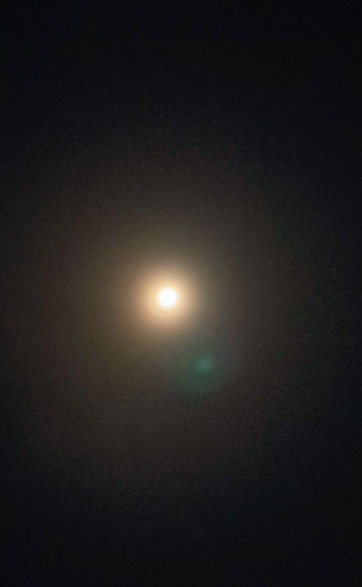 sae4908's tweet photo. 昨夜(9/25)は、一年でもっとも月が綺麗に見れるという十五夜🎑でした✨夕方雲多めで心配しましたが、辛うじてお月様見上げる事が出来ました！明日(27日)は満月🌕ですね…天気は下り坂ですが💧
#CHAEst🌻
#中秋の名月 https://t.co/CVjIPw7Qar