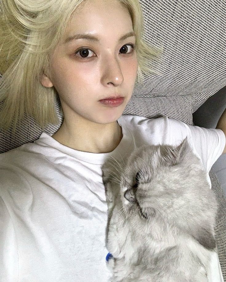 nmixxpics_'s tweet photo. Bae Jinsol with her cat, D.O selfies are my favorite 🥹 https://t.co/nJvCW94UFI