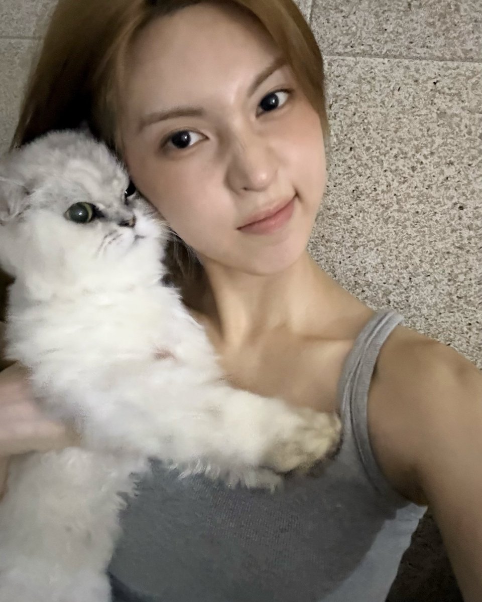 nmixxpics_'s tweet photo. Bae Jinsol with her cat, D.O selfies are my favorite 🥹 https://t.co/nJvCW94UFI
