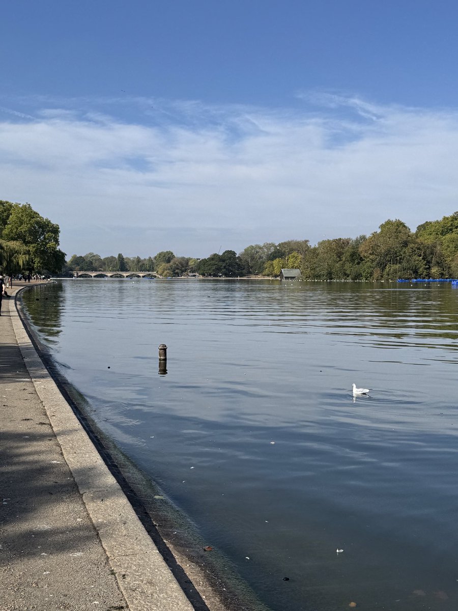 MarthaCatfan's tweet photo. #POstables Good morning. Yesterday was our last full day in London. No train nor bus to catch. Just walked the city. Over 11 miles. Most relaxing day. Today in the English countryside and home tomorrow. Thanks for going on this journey with Alan and me. ππ https://t.co/eanZH0XFjs