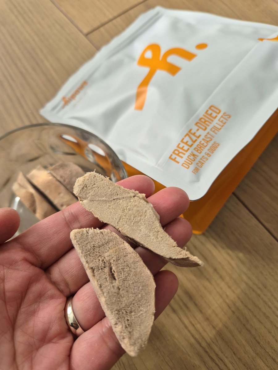 greenheart03's tweet photo. AD 》Hipaws •
🌟 Freeze Dried Prawns &amp; Duck Breast
📍 United Kingdom 🇬🇧

#hipawsuk #catfood #influencer #collab #catblogger #treats #seafood #duck #cattreats #cattraining #catlover #catlife #petinfluencer #delicious #foodie #healthy #fyp #moggy #moggie #catmom #england #uk https://t.co/QlMMegr6hf