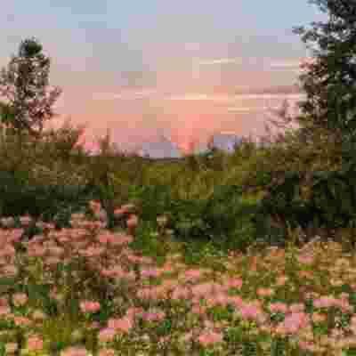 BrandonKno63258's tweet photo. في عاشوراء، تتفتح زهور الشكر في حدائق القلوب، اللهم اجعلنا كالأشجار الراسخة في الإيمان، مثمرة بالصالحات https://t.co/xgK74zUeYS