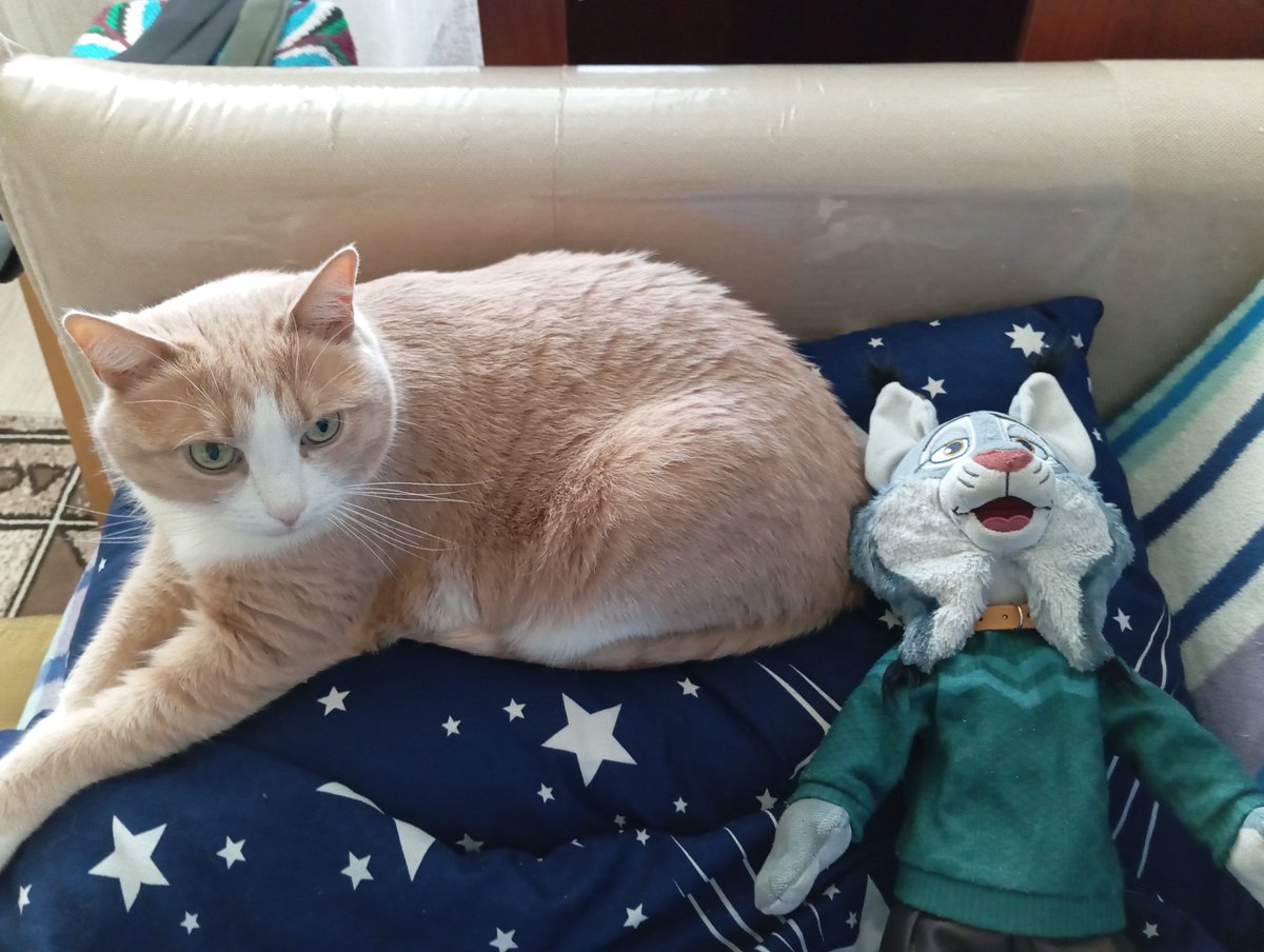 pawbert_777's tweet photo. We just woke up. I was sleeping with Pawbert at first, but it looks like the cat decided to join us during the night, too https://t.co/G7nsRAjnsK
