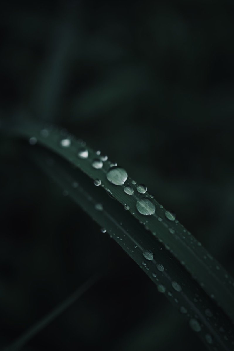 Rei0AM tweet picture