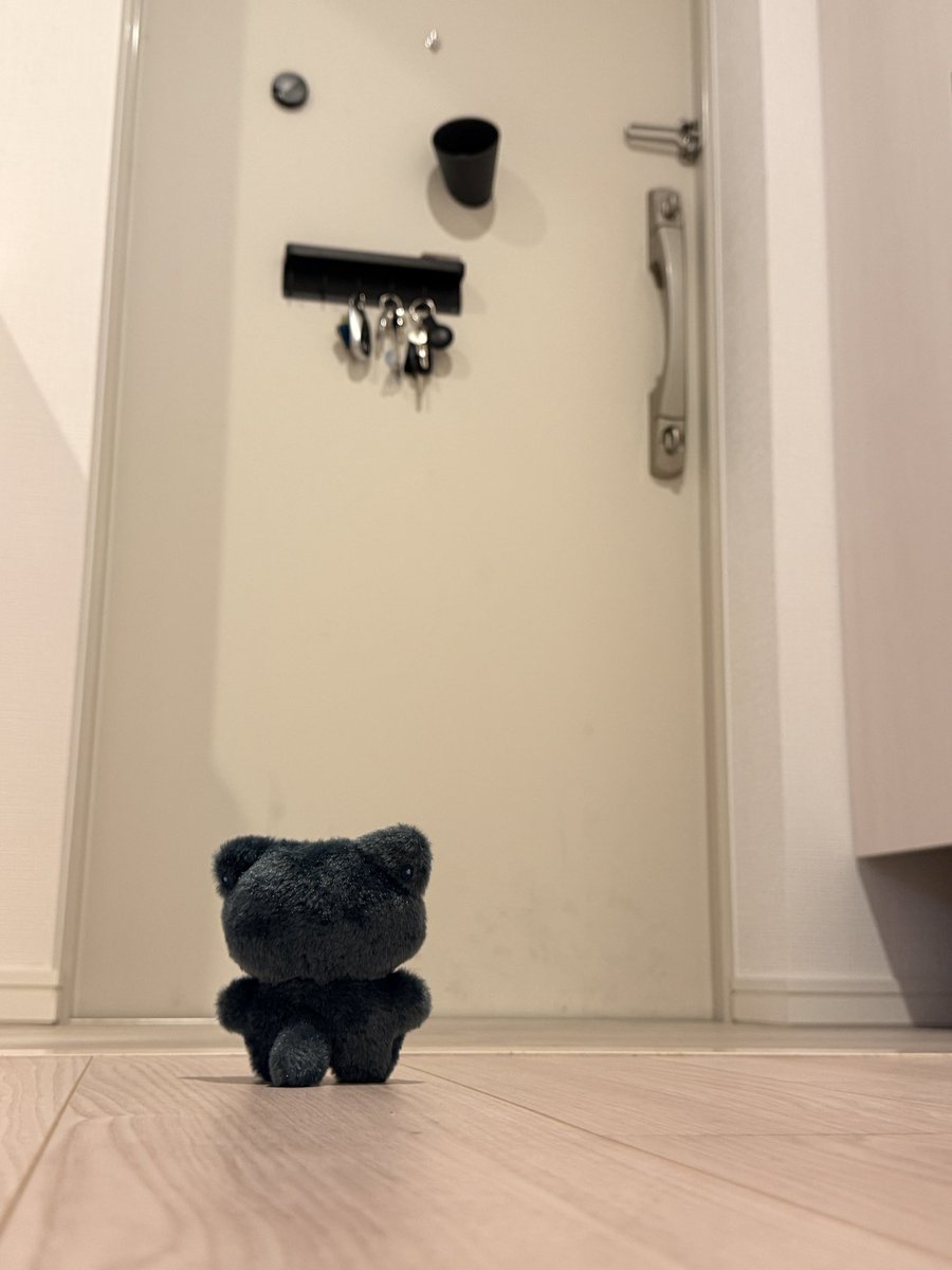 natsugo725725's tweet photo. 「み゛っ…」

玄関でちみごを待ってるちみげ。
ごめん、ちみごはたぶん週明け出荷なんだよね…。エンスカイの営業始まってからだわ…。
飼い主の不手際により、だいぶお待たせしちゃってるね。
本来なら同じ日に現着するはずだったのに。 https://t.co/IJQesdaj9P