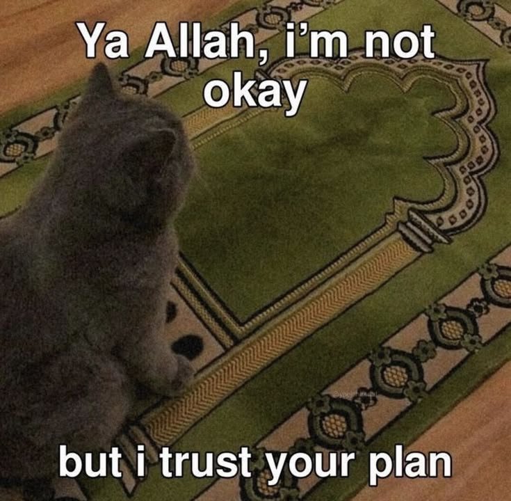 Al__Quraan's tweet photo. Ya Allah 🥺🤲 https://t.co/WAKczRYFEe