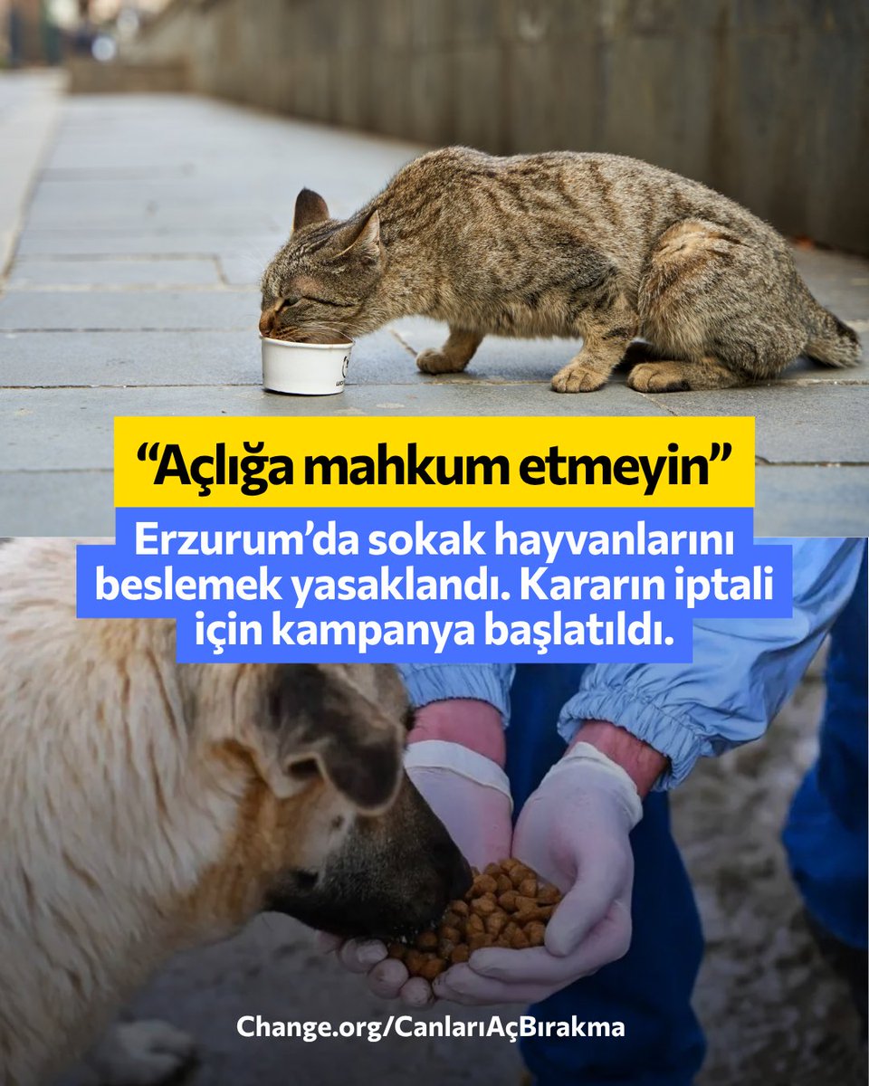 ChangeTR's tweet photo. "Besleme yasaklanamaz!"

Erzurum'da İl Hayvanları Koruma Kurulu Toplantısı'nda, sahipsiz hayvanların üreme ve yaşam alanları oluşturmasını önlemek amacıyla sokaklarda beslenmesinin il genelinde yasaklanmasına karar verildi.

Kampanya başlatan Ela Yalın kararın iptal edilmesini talep ediyor.

"İstanbul'da denendi, şimdi Erzurum'da. Sıra hangi ilde? Sokakta besleme yasağına dur de!"

Destek için imzala, paylaş: https://t.co/EM5Uo6XZ8T
