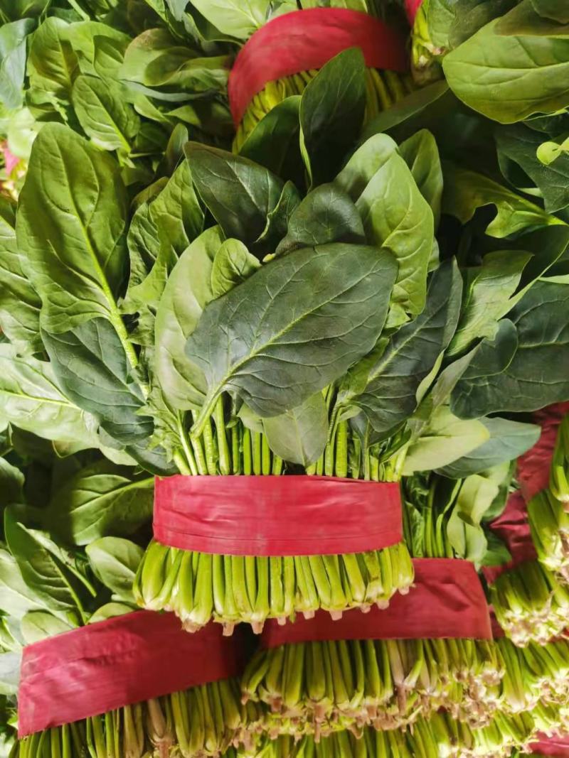 EveBitner5v's tweet photo. Just tried the new organic baby spinach from local farms! Crunchy, sweet, and packed with fresh flavor—no bitterness at all. Perfect for morning smoothies or salad bowls. 10/10 would restock! https://t.co/n4FhASur8v