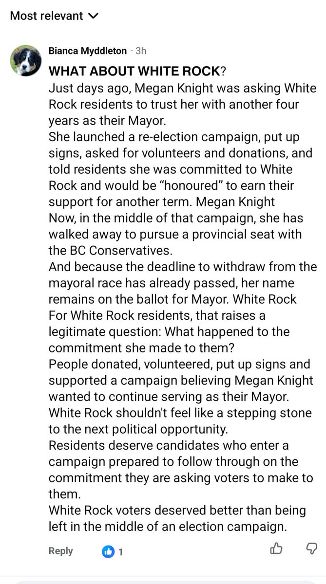 brarforbc's tweet photo. @SurreyNowLeader Opportunist and not trustworthy..... https://t.co/OgtTueSVGj