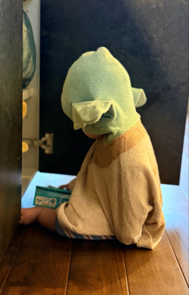 taniumi00's tweet photo. 我が家のマスターヨーダ（この世に生まれて9ヶ月👶） https://t.co/WP1n11YvqE