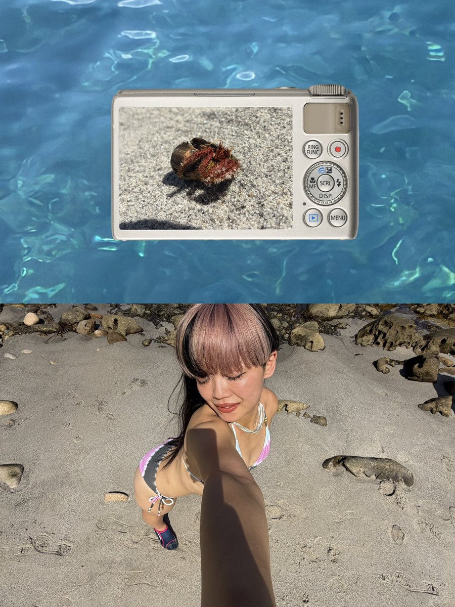 rea_89pw's tweet photo. 🏝️🌺 Shikinejima 🌺🏝️

『ベルト戴冠記念旅行』にいってきたよー‼︎

海が綺麗すぎるし、お魚が目の前を泳いでいるなんて初めての「経験」＆「光景」だったからホントに感動した‼︎🫧🐠🐡🪸✨

でも、お魚に指をエサだと勘違いされて、噛まれたのはﾁｮｯﾄ怖かったな…🫠

まぁでも、それも良き思い出ﾀﾞﾈ😃💭

とても充実した夏を過ごせました🌞

#D_Revo