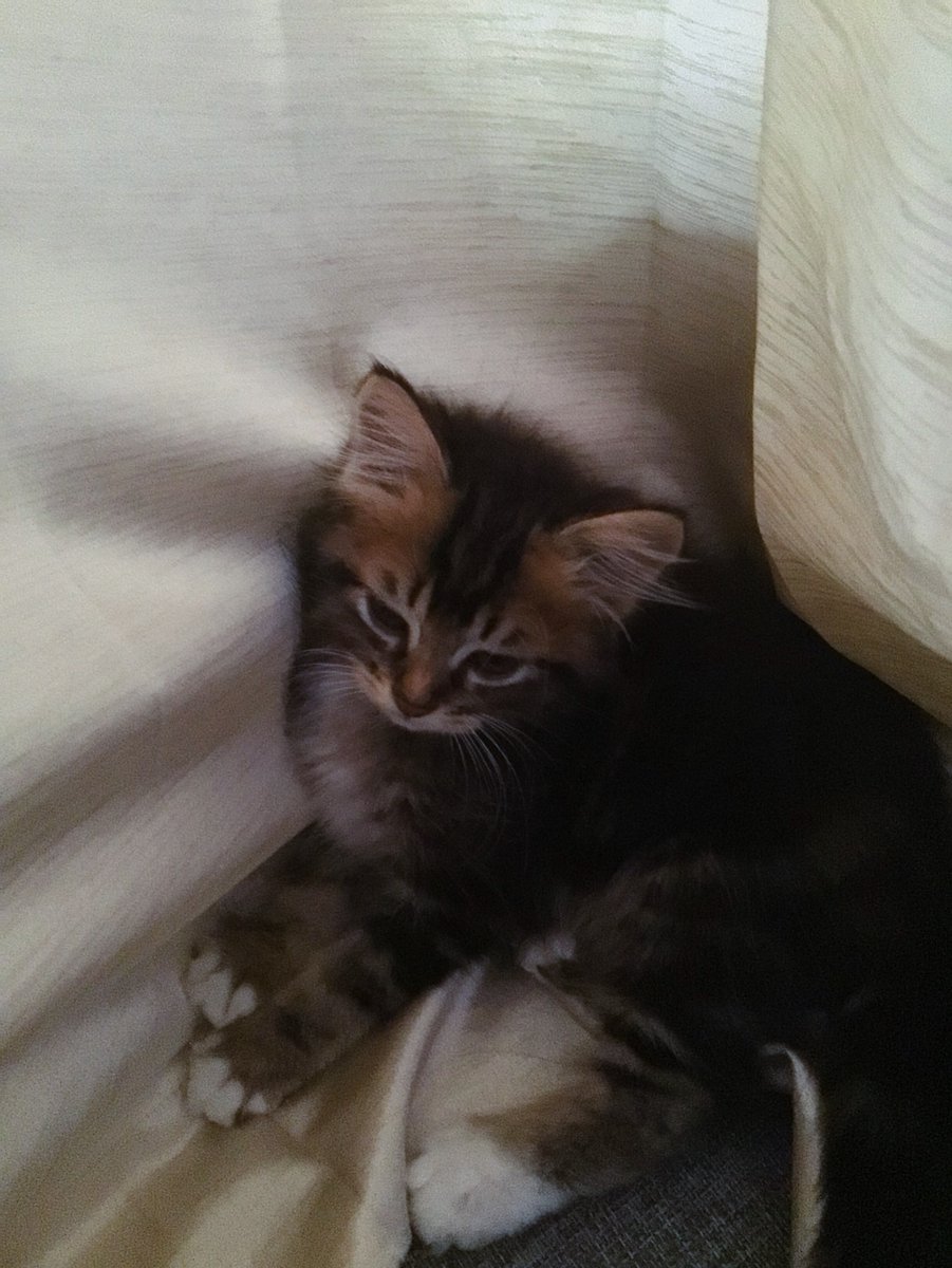 DeniceStright's tweet photo. She looks innocent. She’s not. Boy, four months ago. https://t.co/JmQb8N9cgk