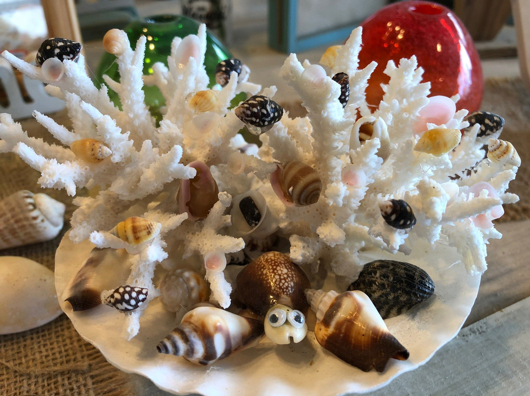 TerenceMari6lf's tweet photo. Hoy hice un adorno de maceta con conchas marinas recicladas! Un proyecto fácil y lindo para decorar mi balcón. ， https://t.co/LqcNaZbxEA