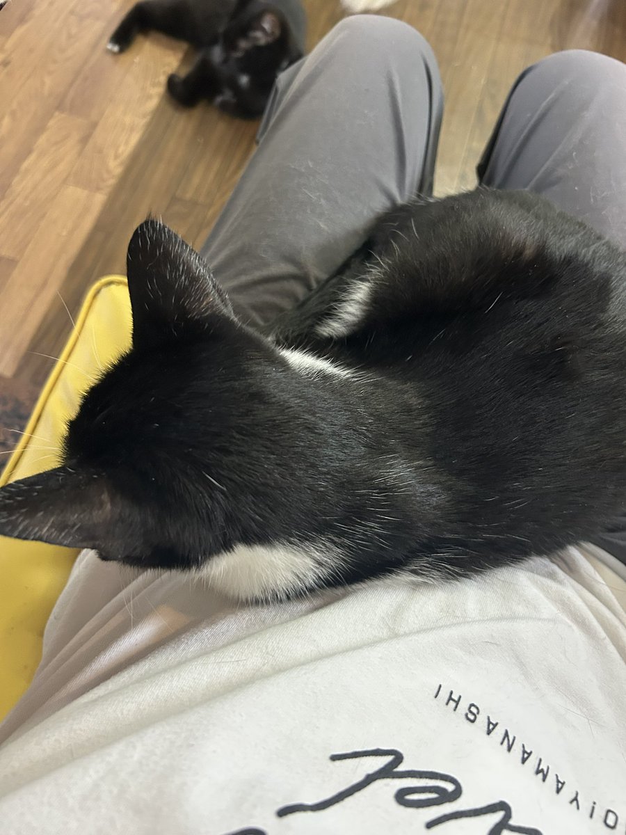 koha0531's tweet photo. かれこれ30分くらい乗ってる https://t.co/9tMKLZPcZi