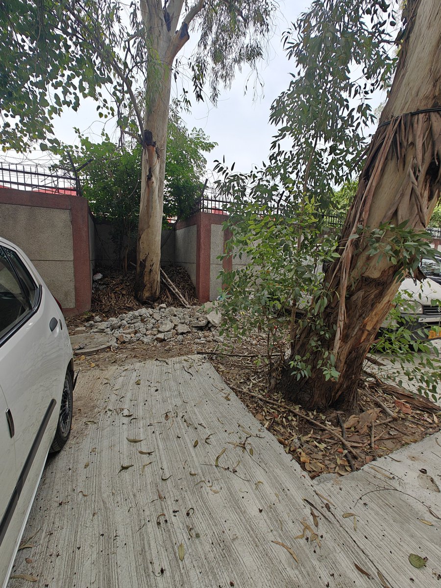 shubham5544's tweet photo. @dcwestzone @MCD_Delhi @HSdmc @DPCC_Pollution @CPCB_OFFICIAL @ashishsood_bjp @CMODelhi @LtGovDelhi Thanks for cleaning the lanes but back lane is not cleaned not cleaned , Take appropriate actions to clean this area as well please send teams for a deep cleaning of the C2C Pocket 12 Janakpuri Block dust is still present @DPCC_Pollution @CPCB_OFFICIAL Water sprinkling required https://t.co/04zxH0EL2Q