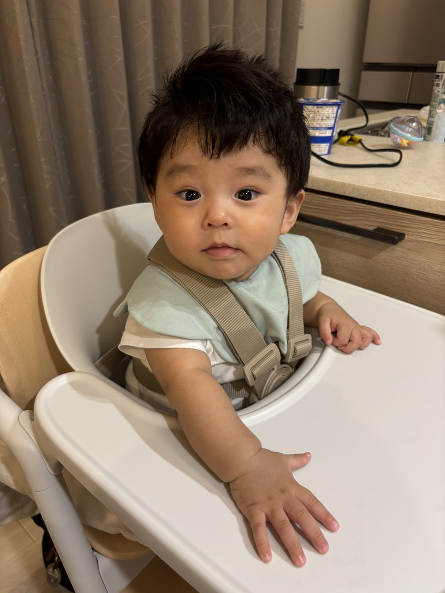 kk_lec's tweet photo. お座り https://t.co/AdzEUHnBz4