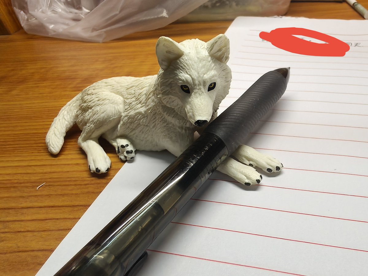 wolkenlize_'s tweet photo. I bought this little guy for one dollar
#furry https://t.co/ZASiMBhRdz