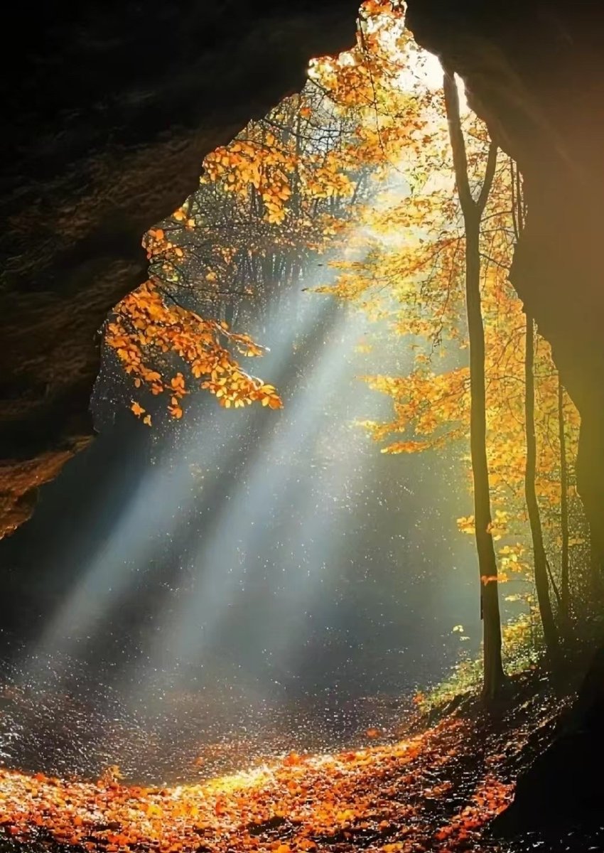 bigpandass's tweet photo. In this world, the turbidity torments, the evils embed, the light pierces through—let hope lead us on. https://t.co/mLxqW6lO64