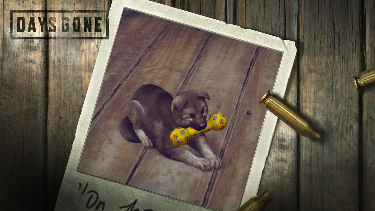 tareo2010's tweet photo. この世界で唯一の癒し🐶

撫でまくりたい🤣

#DaysGone https://t.co/JjfQwBKoNA