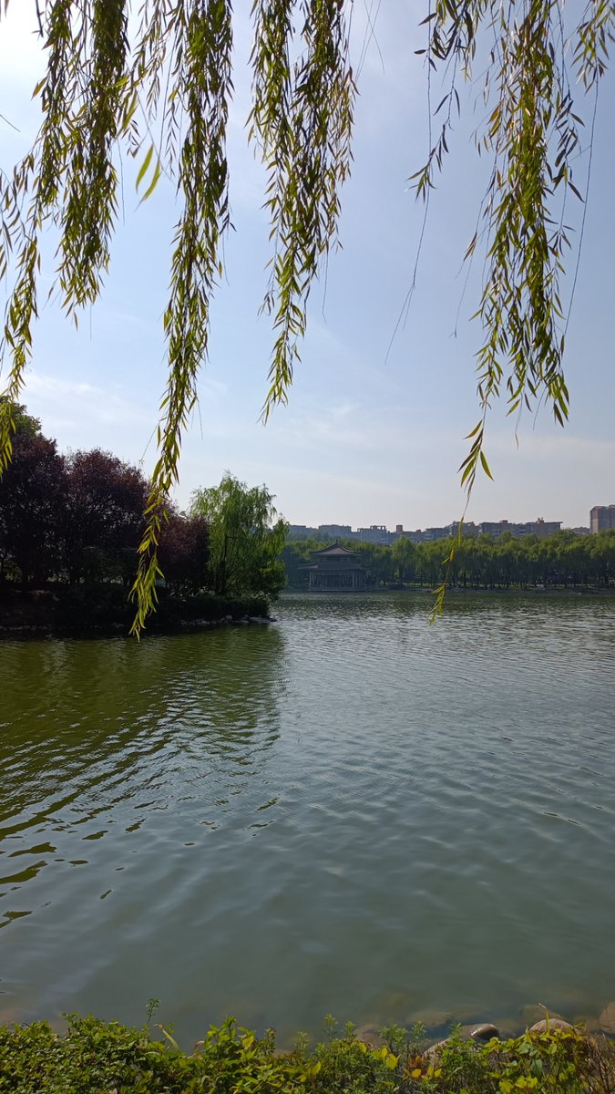 JJL07443098's tweet photo. The clear stream's call wakes the delicate willow catkins, guiding the light of the emblem to the quiet hills.， https://t.co/cQCgZTFG1x
