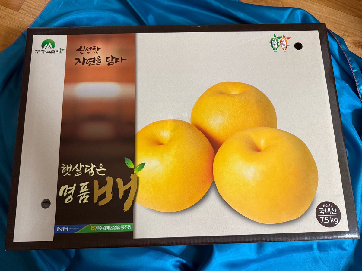 s_pearbae's tweet photo. 梨が有名な地域に住みながらこんな立派な梨を在住4年目にして初めていただいた。
ドラマで見てた布に包まれた箱、初めて受け取ったよ〜！ありがとう🍐 https://t.co/JOmY8ZYcjA