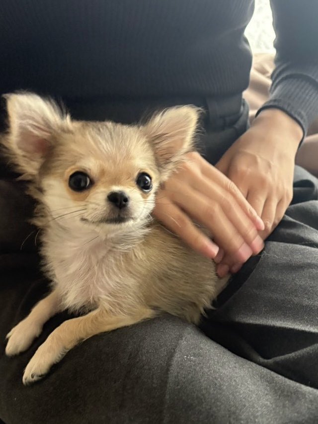 saketsugi's tweet photo. 今日は全体的に大人しい https://t.co/zfWDosPVwC