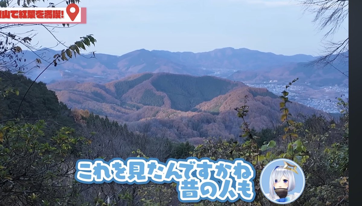 Just_Kanata's tweet photo. 今年行きたいなと思ってるのは秋の宝登山。密かに楽しみにしてるし時間作れるように頑張る。

これを見たんですかね
天音かなたも

ってしたい https://t.co/BNpv1aUHC6