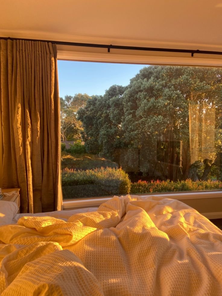 naturaholic's tweet photo. morning lights hits different https://t.co/n0WJw1lcxj
