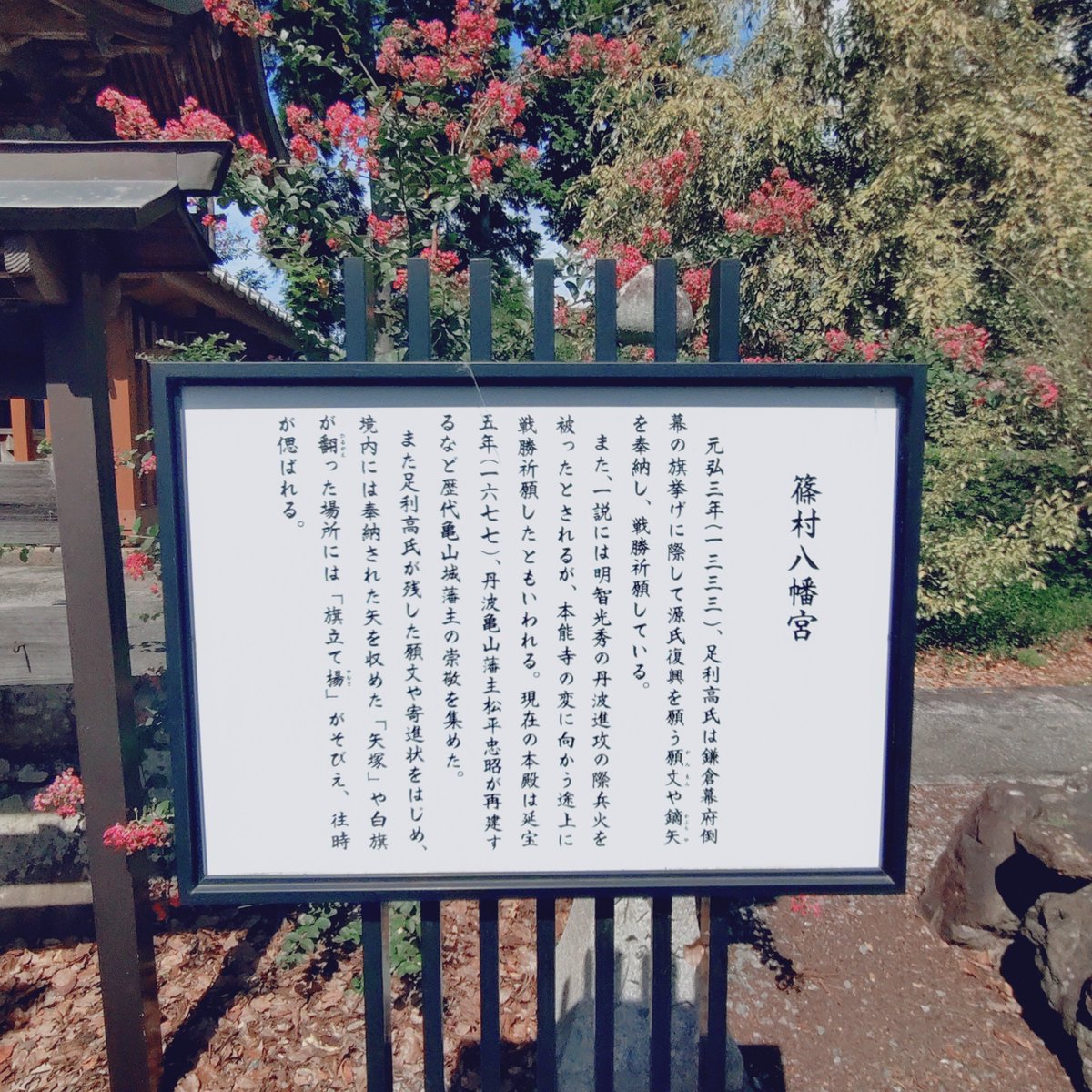 amanakimaru's tweet photo. 雨の中の稽古会でした���頭と身体をとにかくフル回転させられる時間でした。もう最高です。

関係ありませんが昨日、丹波国篠村八幡宮に行きました。
次回こそ御朱印と御朱印帳を頂きたいと思います。
独りで「誰だ…我を天に押し上げるのは…」ごっこしておりました。 https://t.co/icfw47S6XO