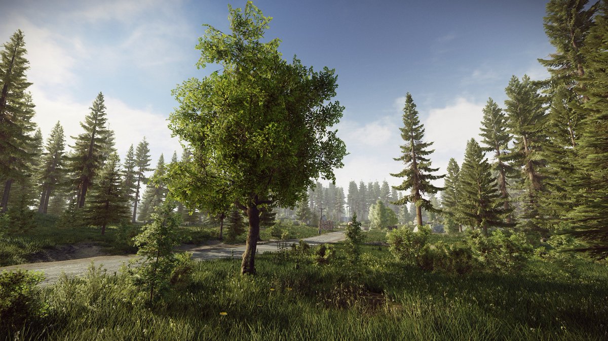 nikgeneburn's tweet photo. working on the updated nature assets for Tarkov right now https://t.co/mKcNwDDyw3