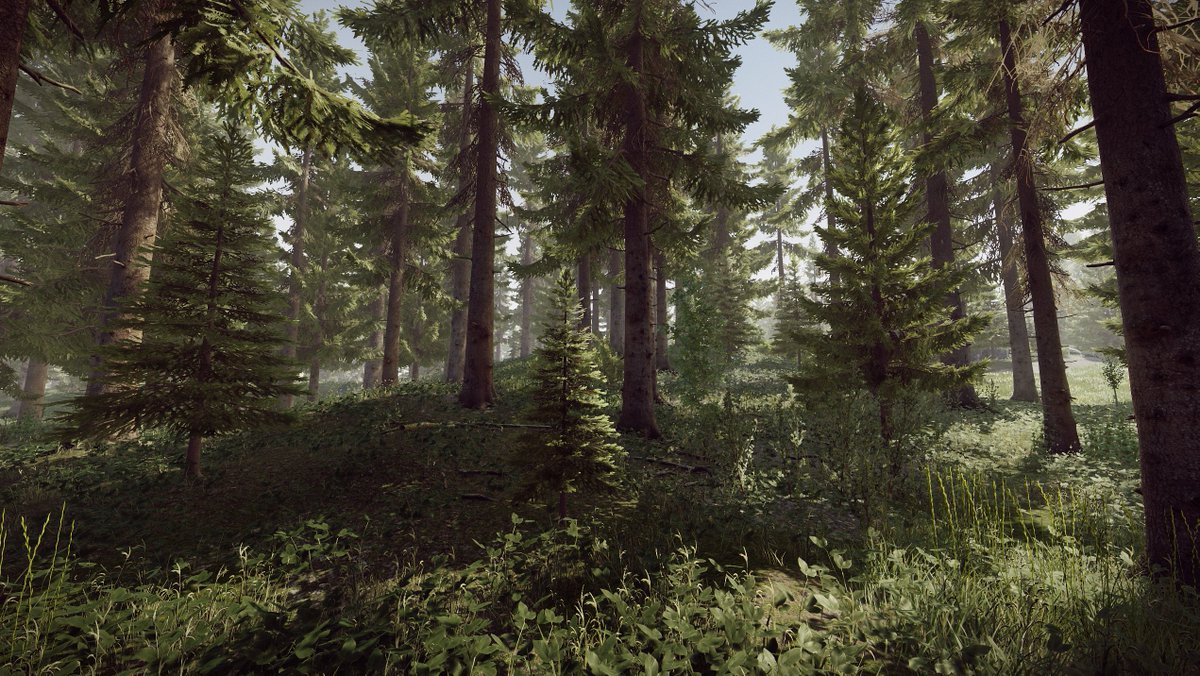 nikgeneburn's tweet photo. working on the updated nature assets for Tarkov right now https://t.co/mKcNwDDyw3