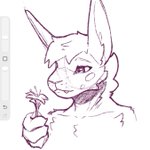 Photo by Limerick (@LimerickBun)