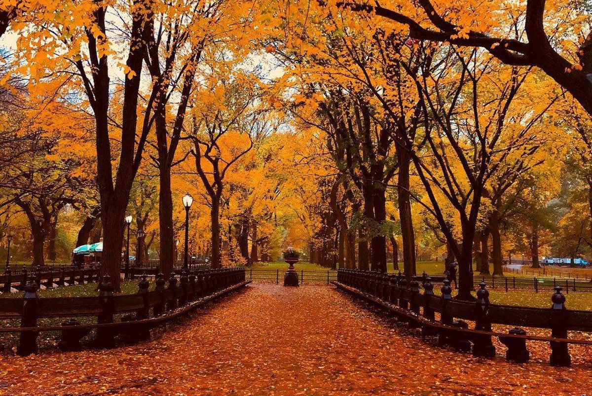 Queenlouissa's tweet photo. Do you guys like this one? I see a lot of fall content and I felt left out. I created this post, to help with marketing my book. I typically do this to distract myself from everything happening.
#autumn #AutumnStyle #fall #FallStyle #fallfashion #FirstDayofFall https://t.co/6QHW90otQN