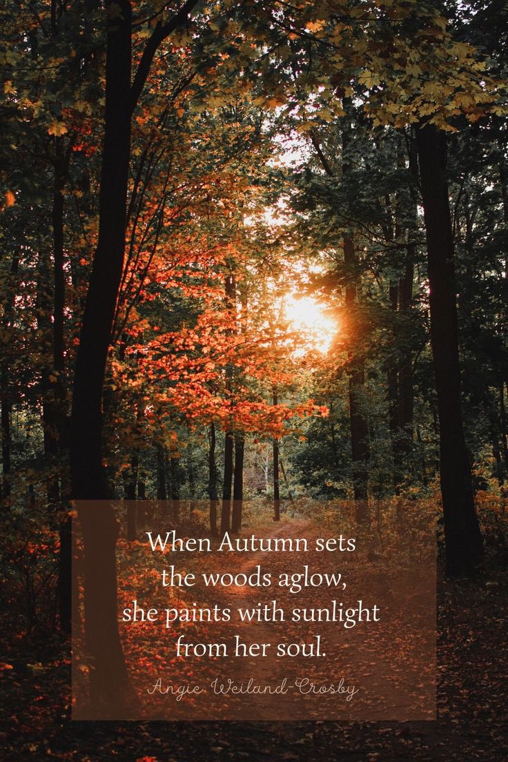 Queenlouissa's tweet photo. Do you guys like this one? I see a lot of fall content and I felt left out. I created this post, to help with marketing my book. I typically do this to distract myself from everything happening.
#autumn #AutumnStyle #fall #FallStyle #fallfashion #FirstDayofFall https://t.co/6QHW90otQN