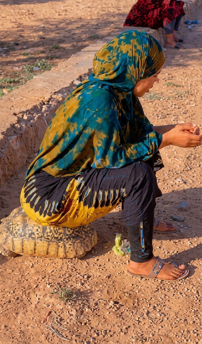 Camelbabez's tweet photo. Did you know in somali culture if a woman can't get pregnant or is wetting the bed they are required to sit on a tortoise to break the curse! https://t.co/iXuT4SxSZ8