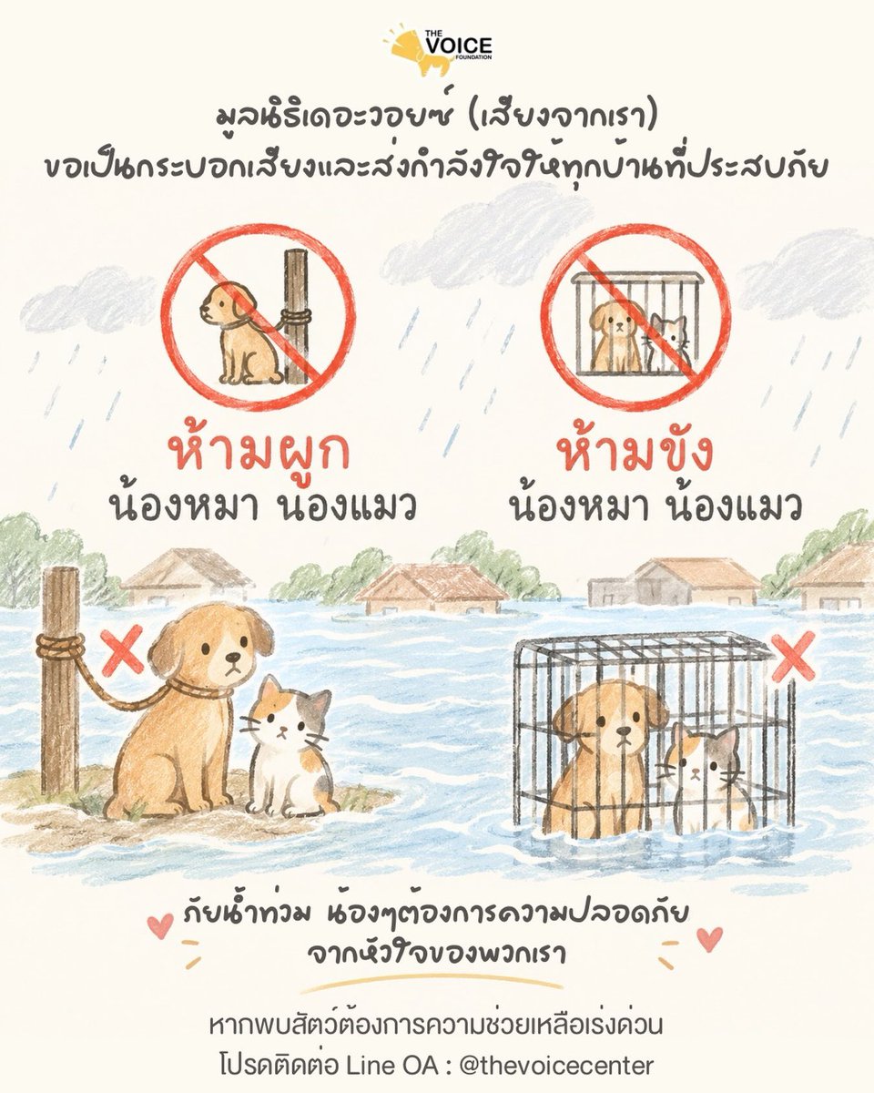great_tofuu's tweet photo. ฝากเป็นกระบอกเสียงสำหรับการดูแลน้อง ๆ ในช่วงน้ำท่วมด้วยนะคะ 🙏🏻
 #น้ําท่วม https://t.co/5BTpwcEAQj