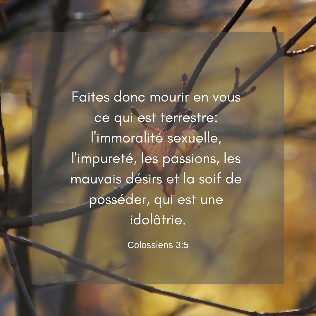 la_Bible's tweet photo. https://t.co/3fKeHPlzNl
